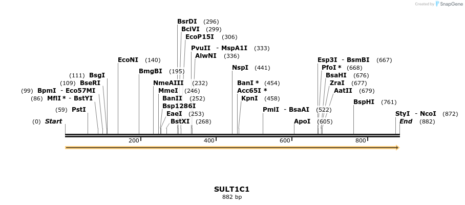 11896_map