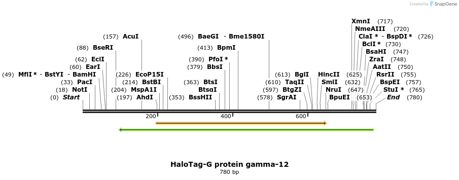 118964_map