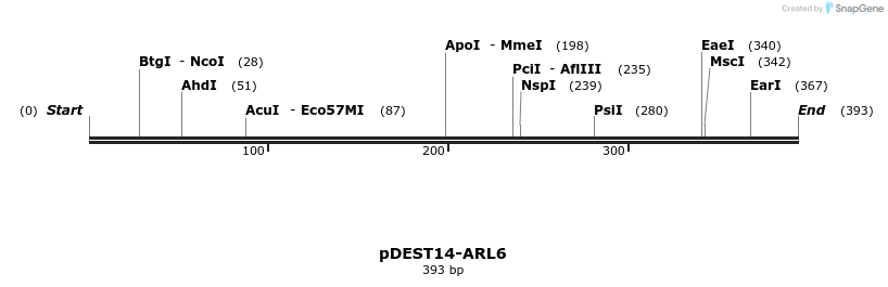 118968_map