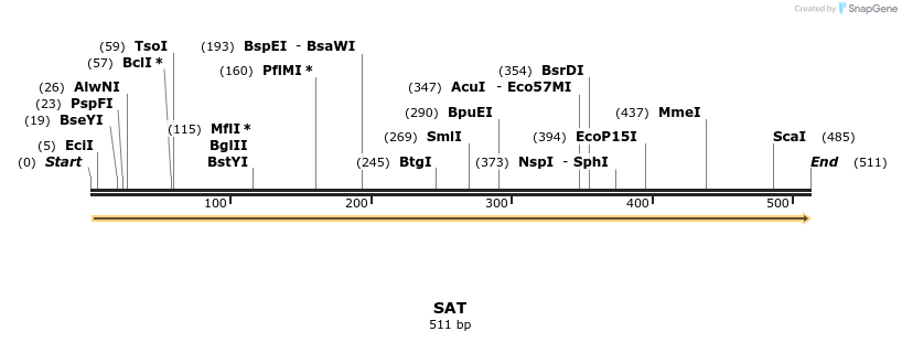 11897_map
