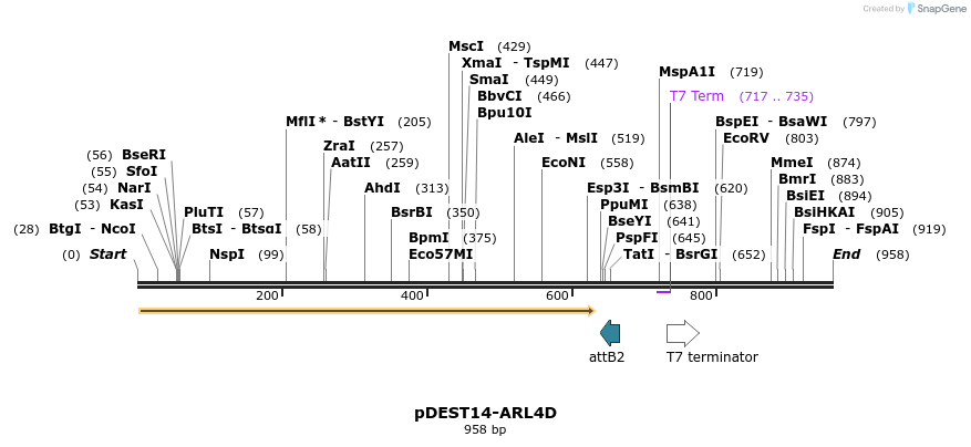 118973_map