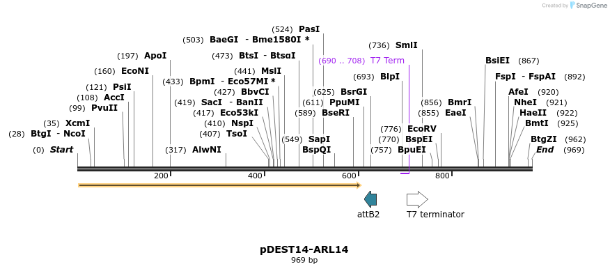118974_map