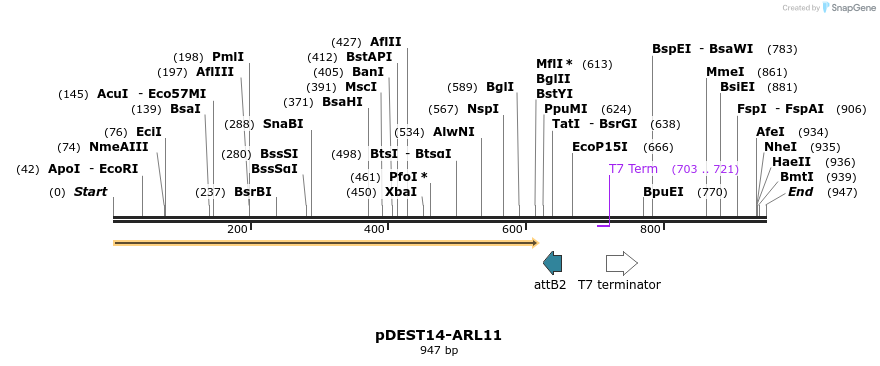 118975_map