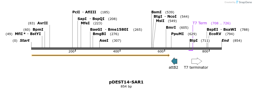 118976_map