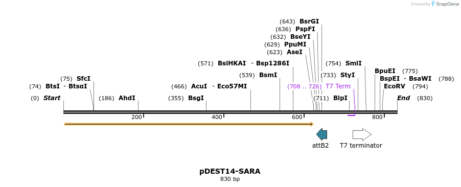 118979_map