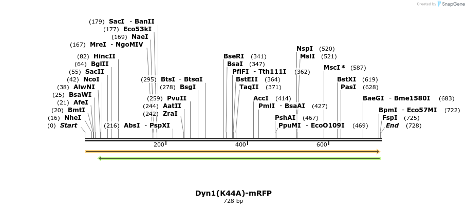 118981_map