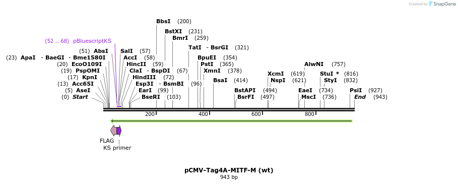 118984_map