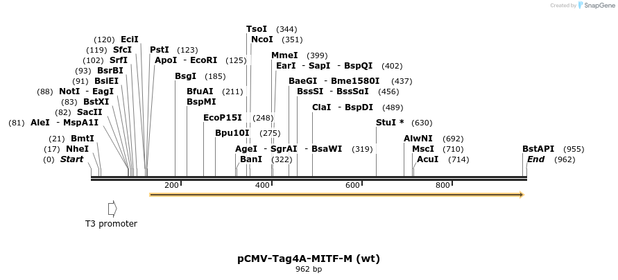 118985_map
