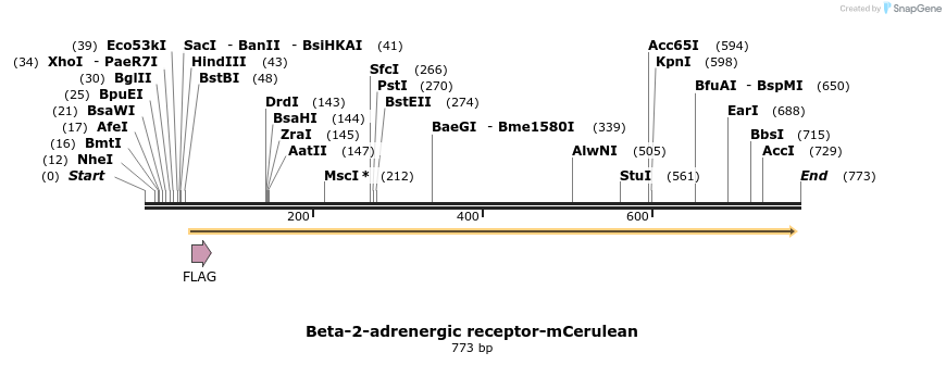 118987_map