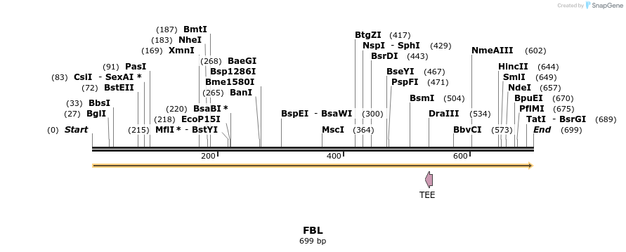 11899_map