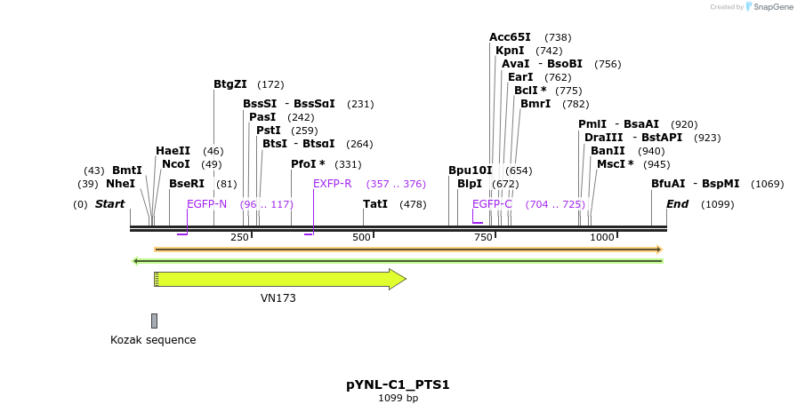 118991_map