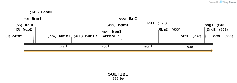 11900_map