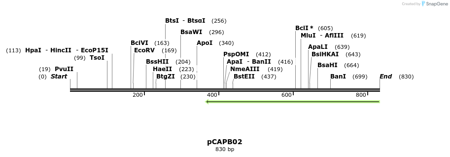 119003_map