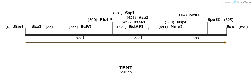 11901_map