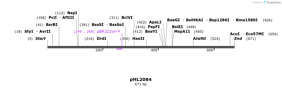 119010_map