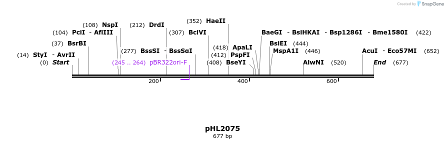 119011_map