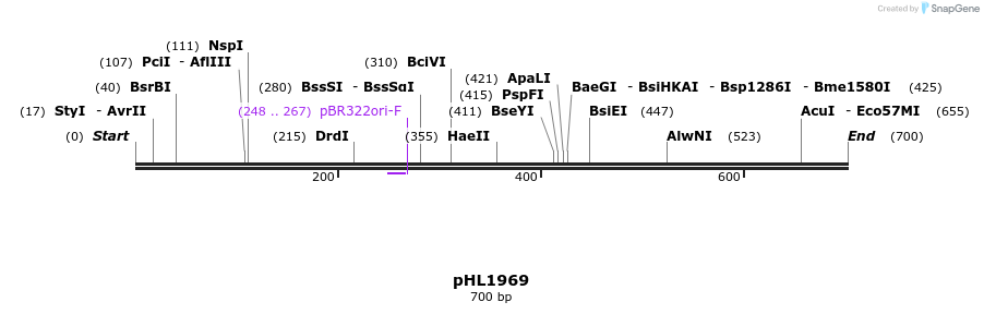 119012_map