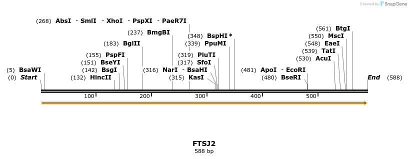 11902_map