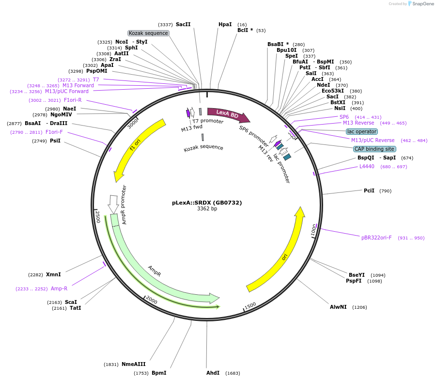 119036_map