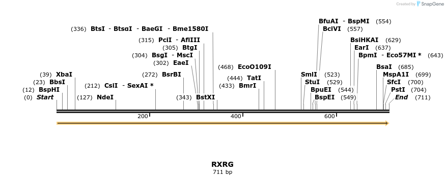 11904_map