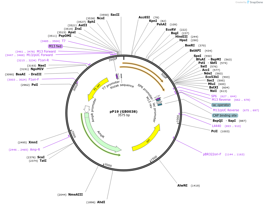 119047_map