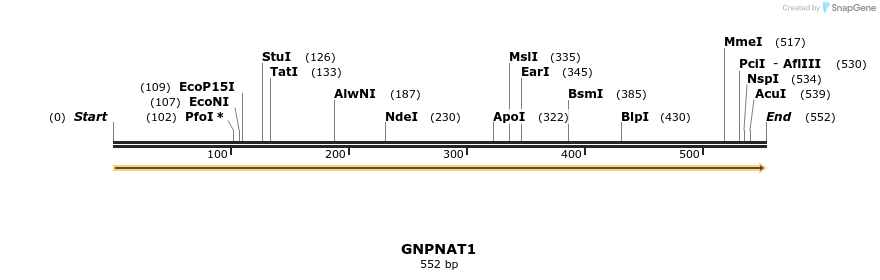 11905_map