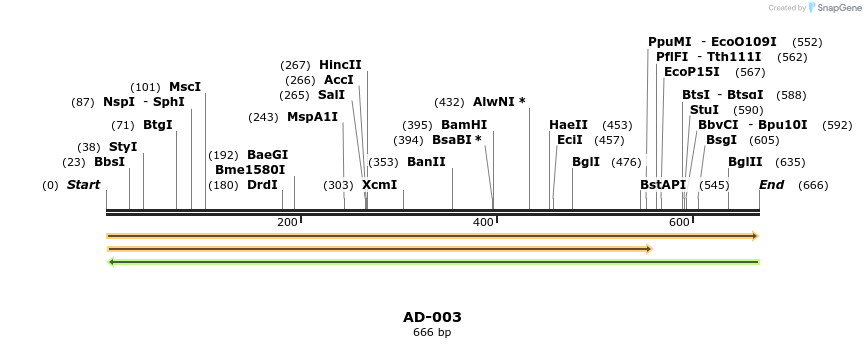 11906_map