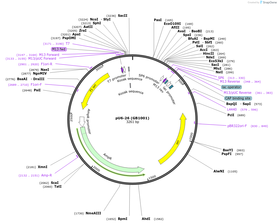 119060_map