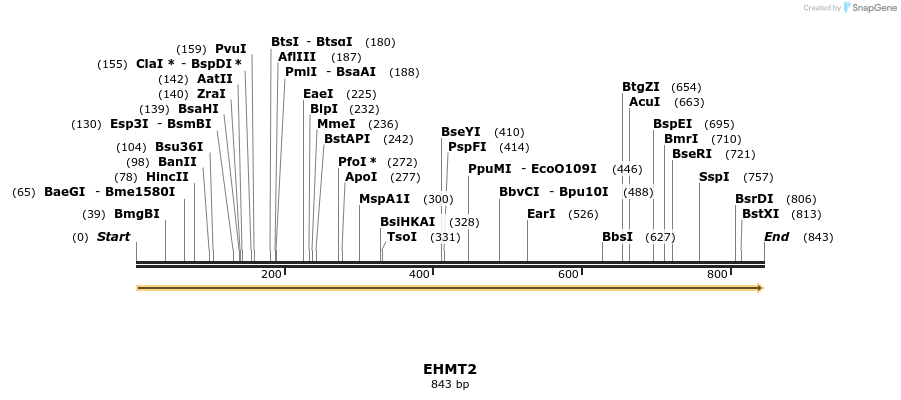 11907_map