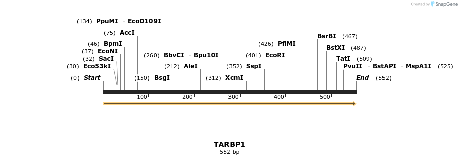 11909_map