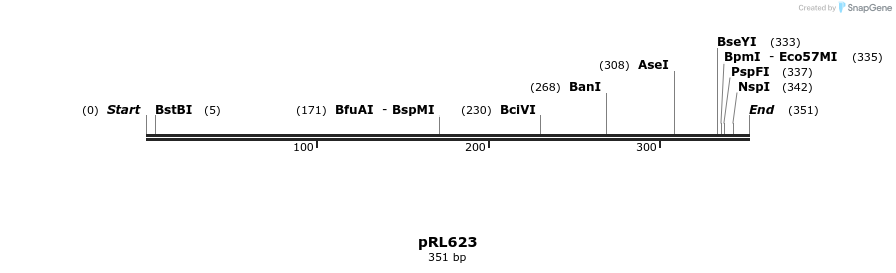 119113_map