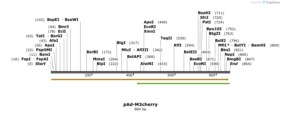 119120_map
