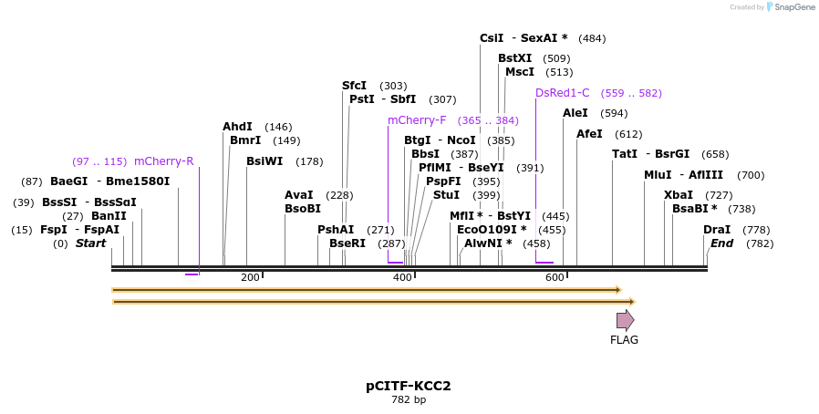 119121_map
