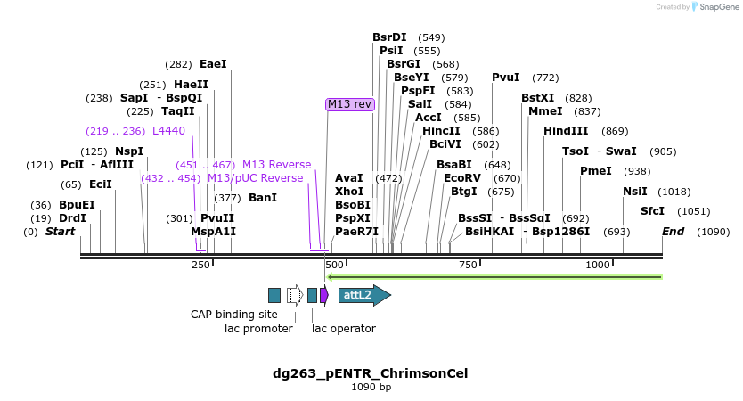 119124_map