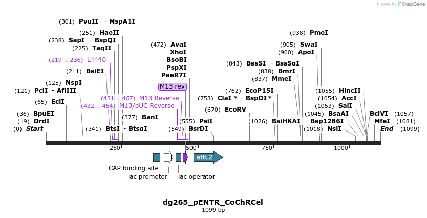 119127_map