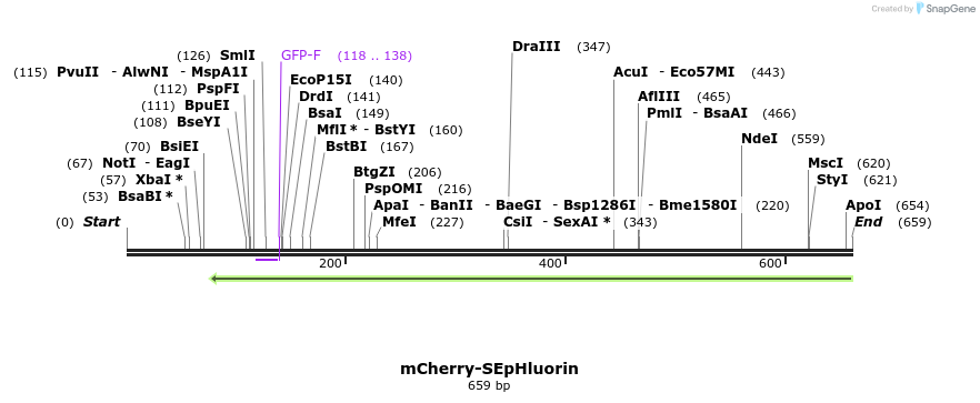 119129_map