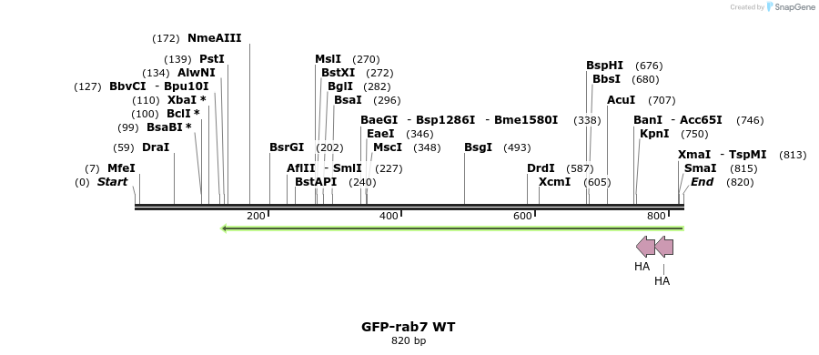 119132_map