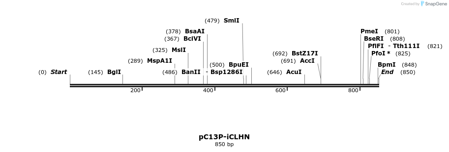119136_map