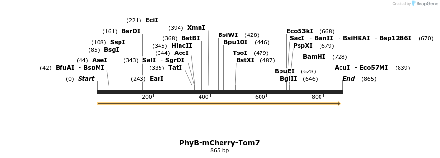 119145_map