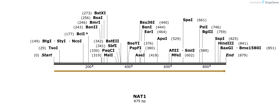 11915_map