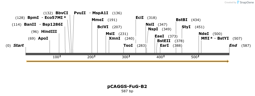 119154_map