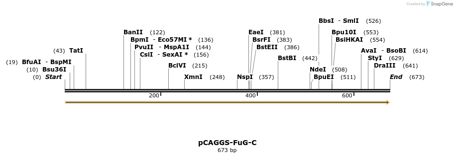 119155_map