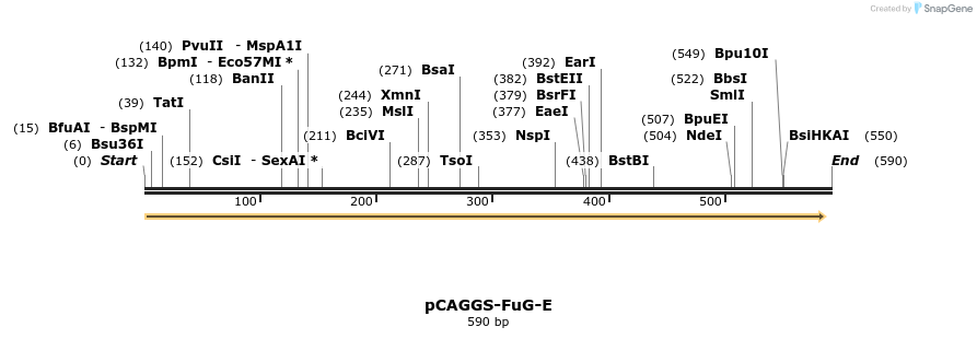 119156_map