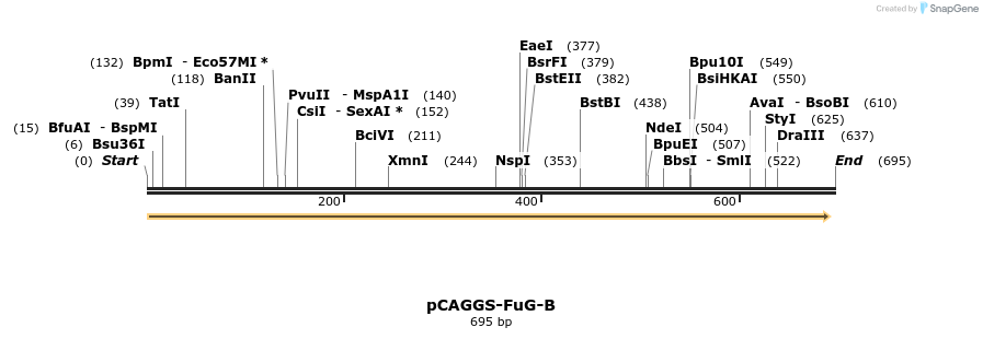 119159_map