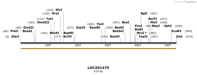 11916_map