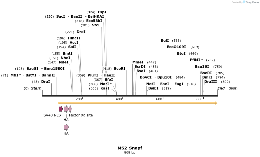 119162_map