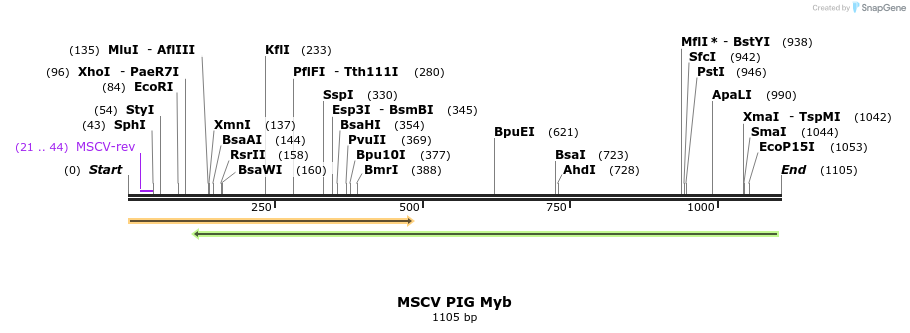 119167_map