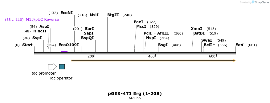 119171_map