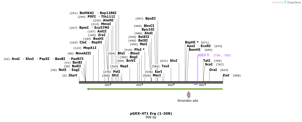 119172_map