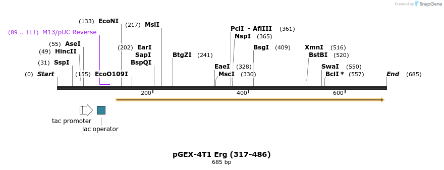 119179_map